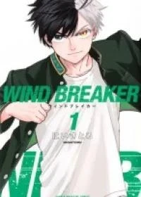Wind Breaker (NII Satoru)