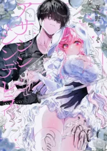 Assassin and Cinderella
